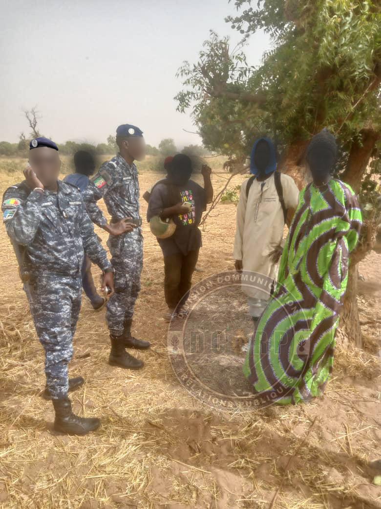 Lutte contre le vol de bétail: un présume voleur arrêté à NIORO - Image 3